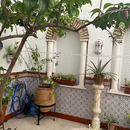 Alyana קורדובה
