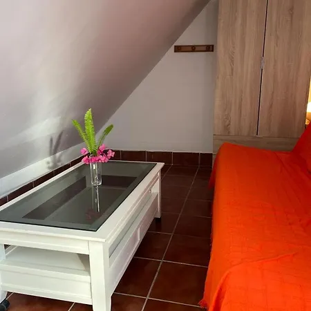 Auberge de jeunesse Alyana