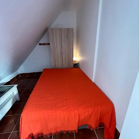 Hostel Alyana *