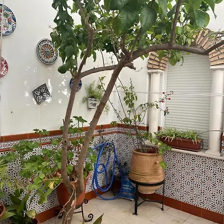 Alyana Hostel Córdoba