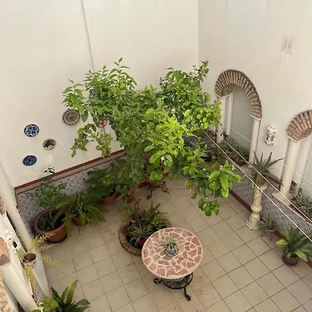 Auberge de jeunesse Alyana *